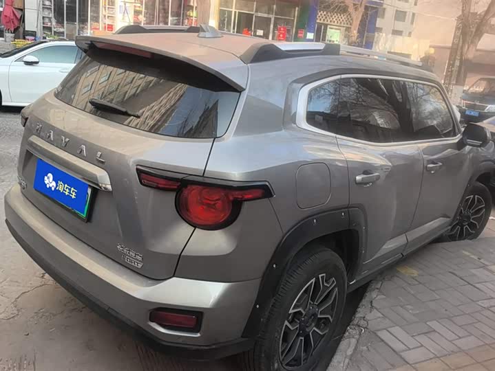 Фото 3 - Haval H-Dog Hybrid