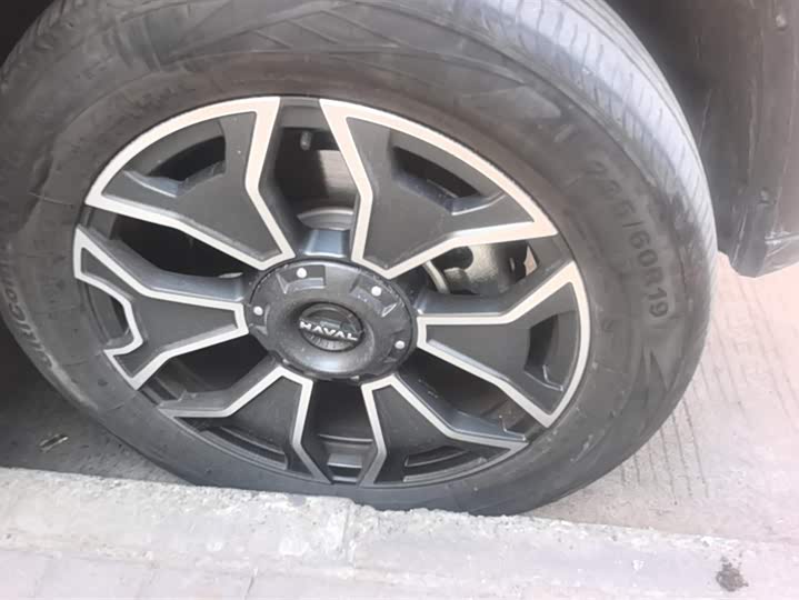 Фото 6 - Haval H-Dog Hybrid