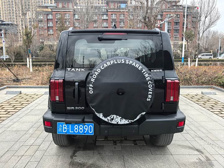 Фото 9 - Tank 300