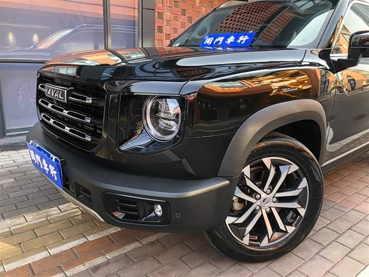 Фото 3 - Haval Dargo