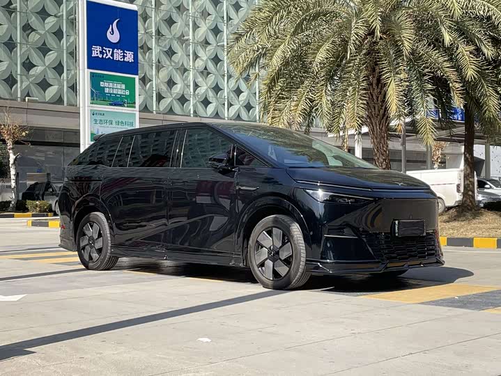 Фото 3 - XPeng X9