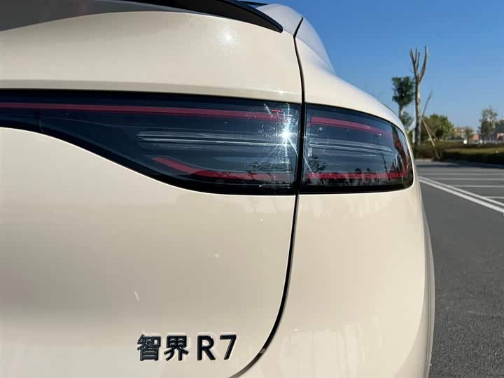 Фото 8 - Luxeed R7