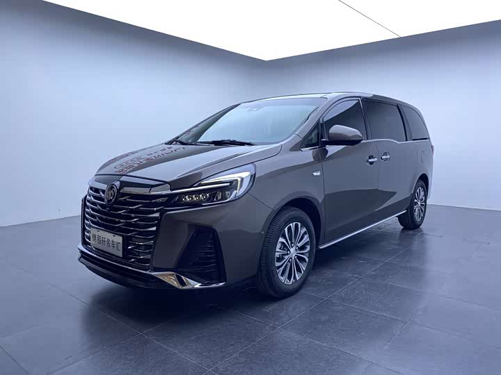 Фото 1 - Buick GL8 ES