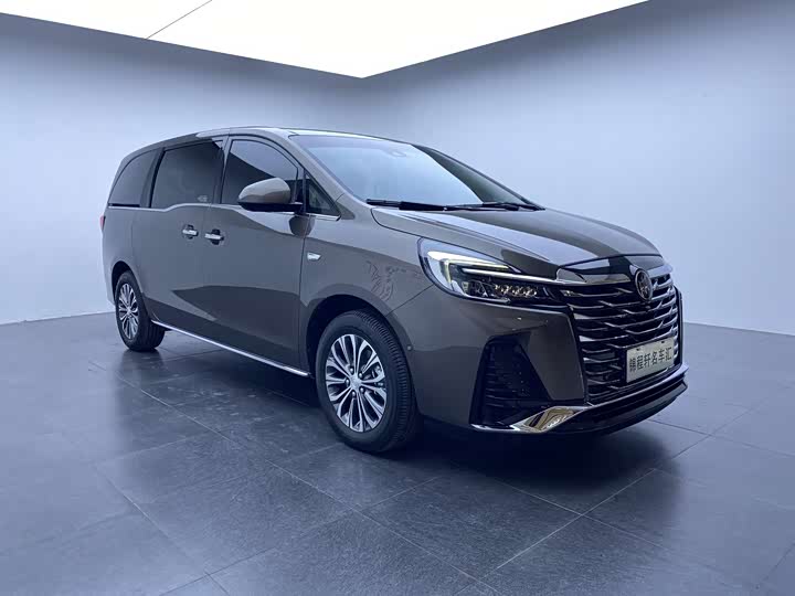 Фото 3 - Buick GL8 ES