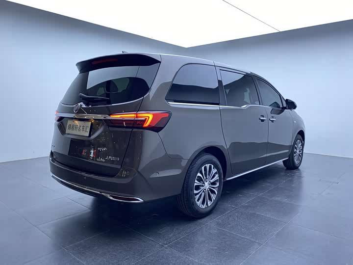 Фото 4 - Buick GL8 ES