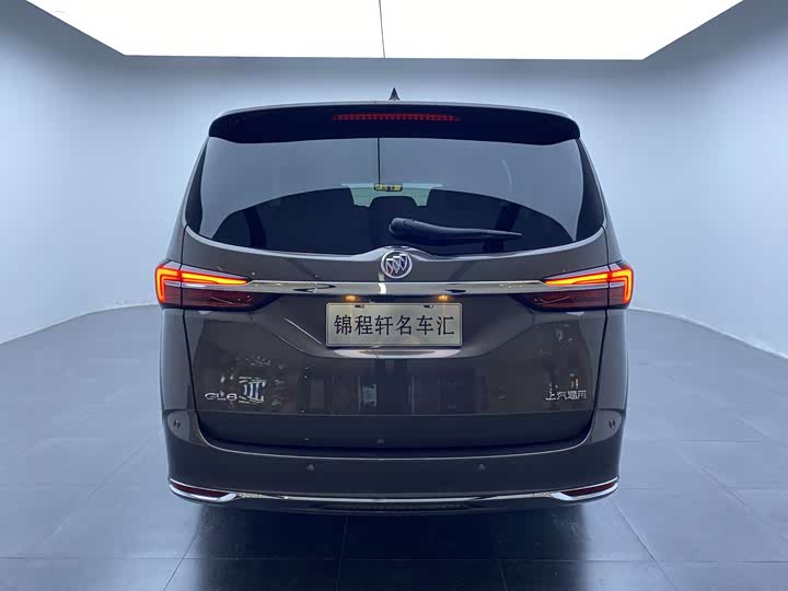 Фото 5 - Buick GL8 ES