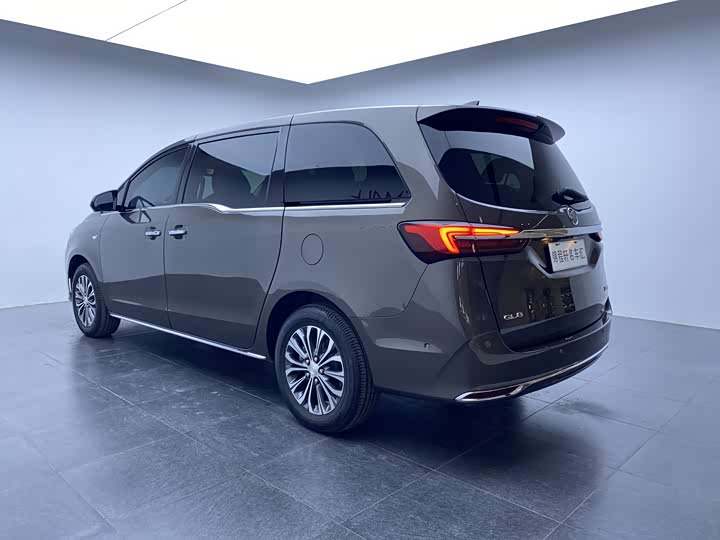 Фото 6 - Buick GL8 ES