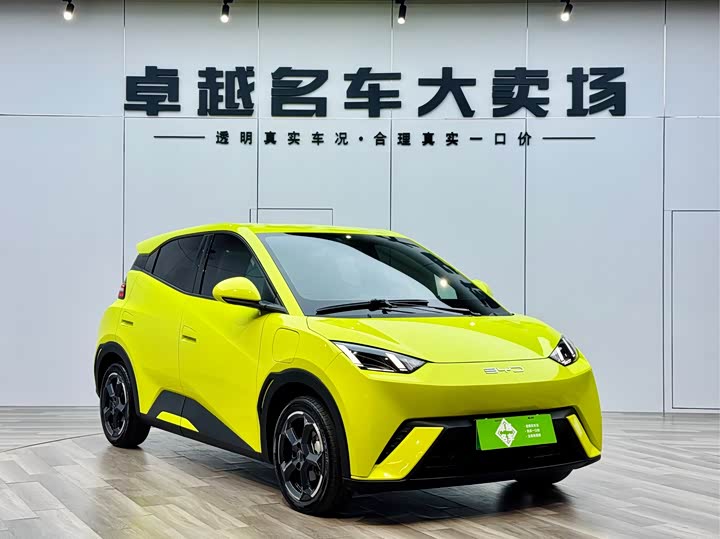 Фото 1 - BYD Seagull