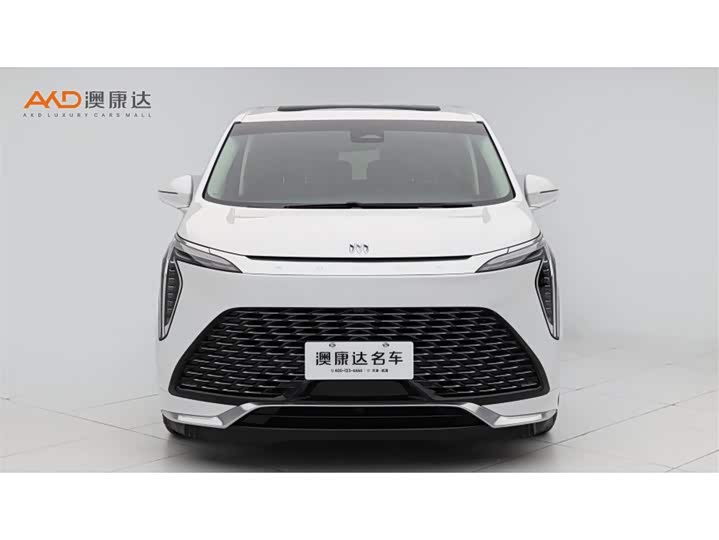 Фото 2 - Buick GL8 Century