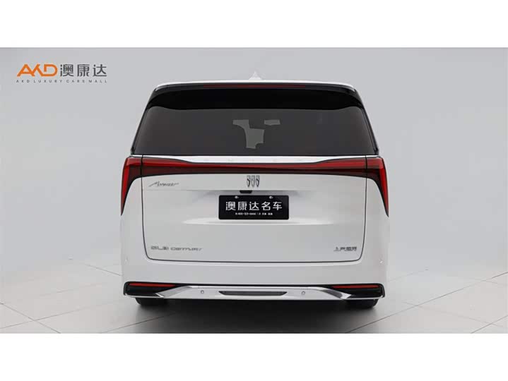 Фото 4 - Buick GL8 Century