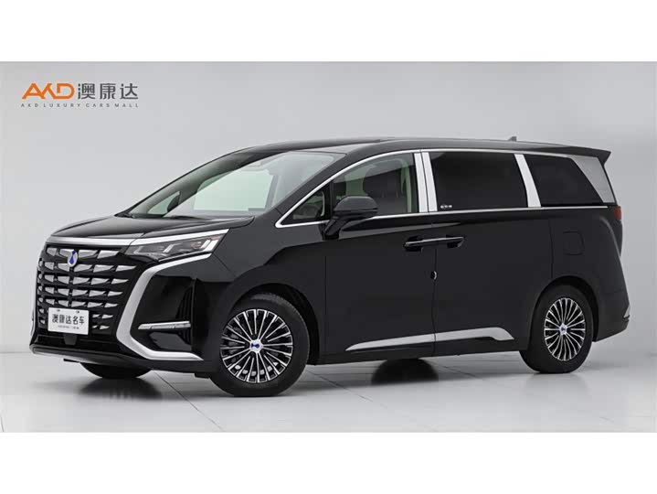 Фото 1 - Denza D9