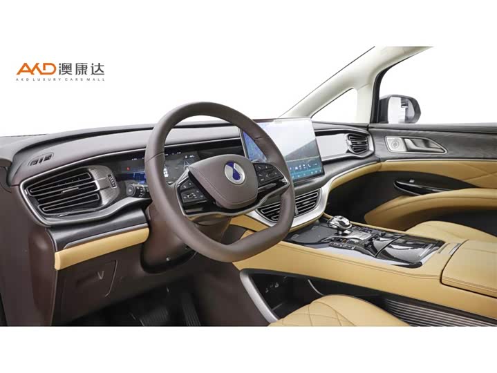 Фото 6 - Denza D9