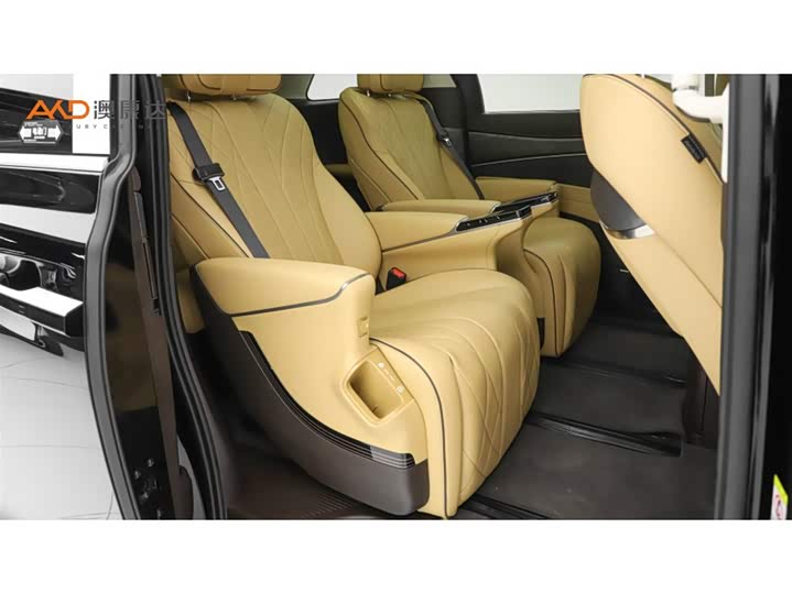 Фото 8 - Denza D9