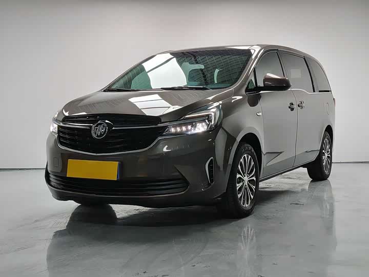 Фото 1 - Buick GL8 ES