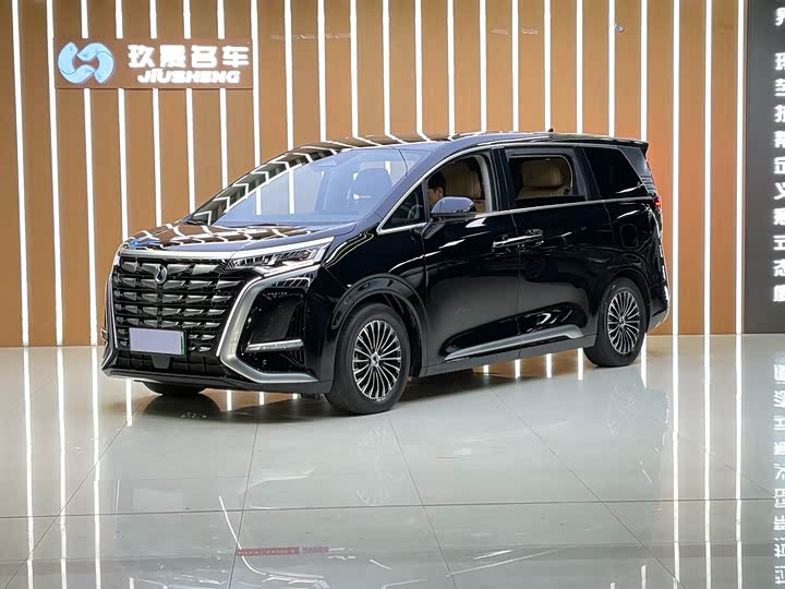 Фото 1 - Denza D9