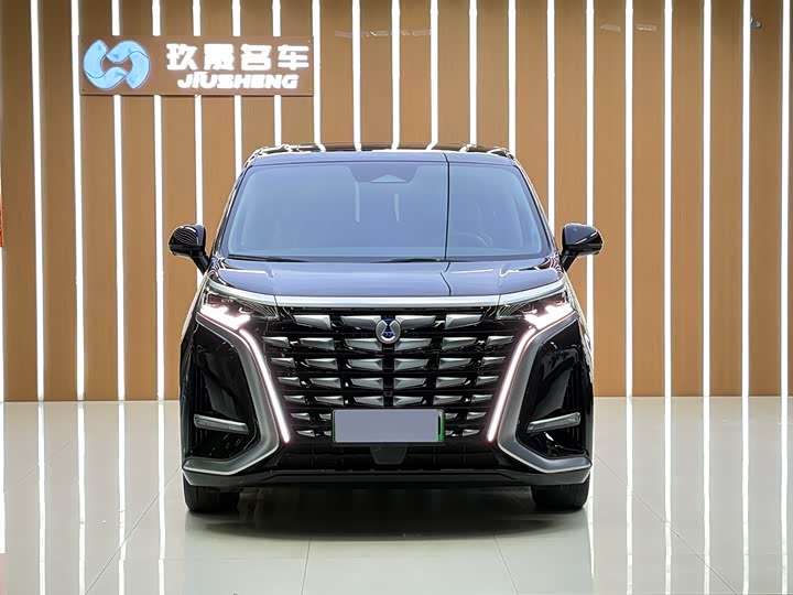 Фото 2 - Denza D9