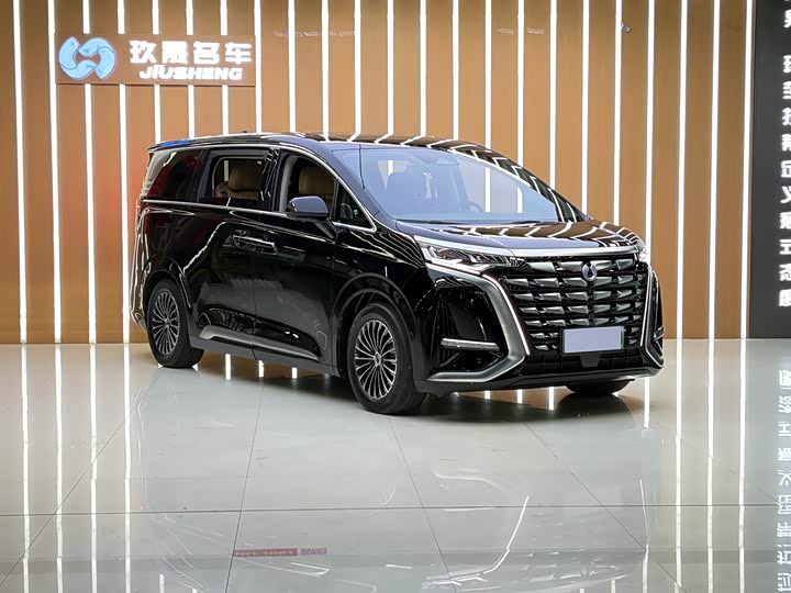 Фото 3 - Denza D9