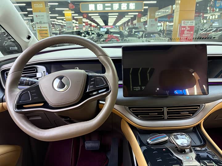 Фото 6 - Denza D9