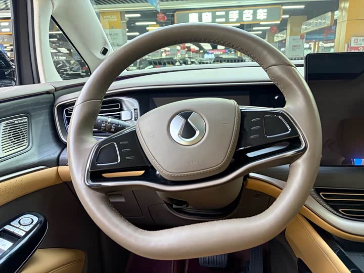 Фото 7 - Denza D9