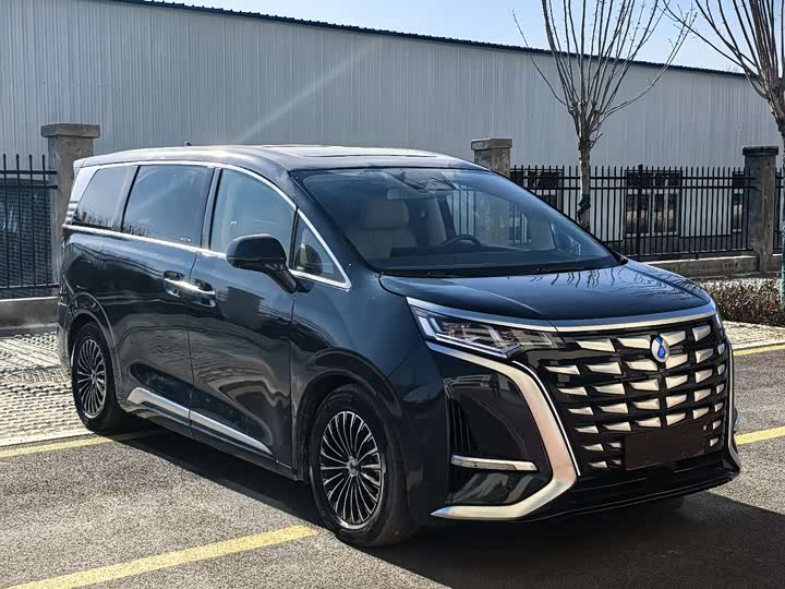 Фото 2 - Denza D9