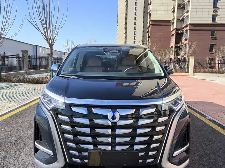 Фото 3 - Denza D9