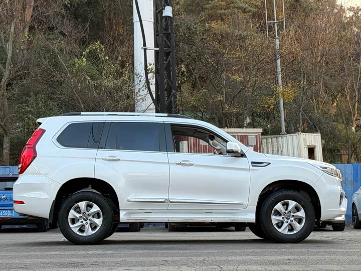 Фото 4 - Haval H9