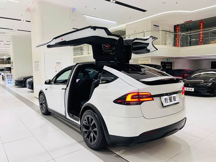 Фото 3 - Tesla Model X