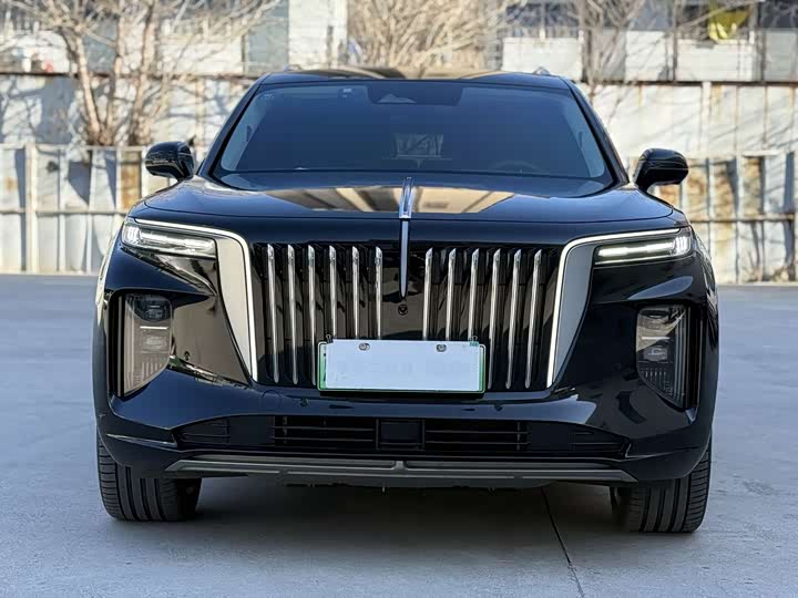 Фото 2 - Hongqi E-HS9