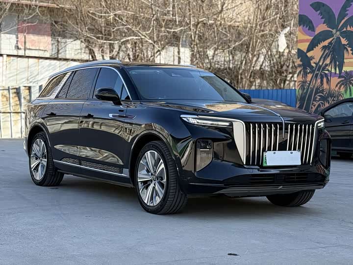Фото 3 - Hongqi E-HS9