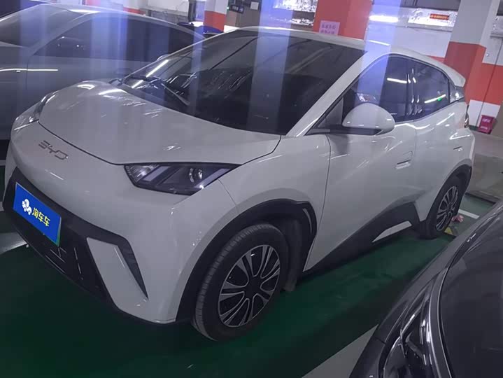 Фото 1 - BYD Seagull