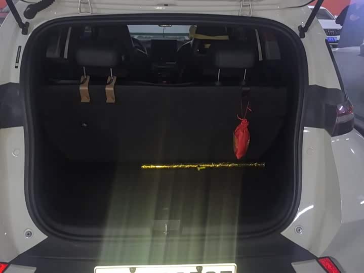 Фото 4 - BYD Seagull