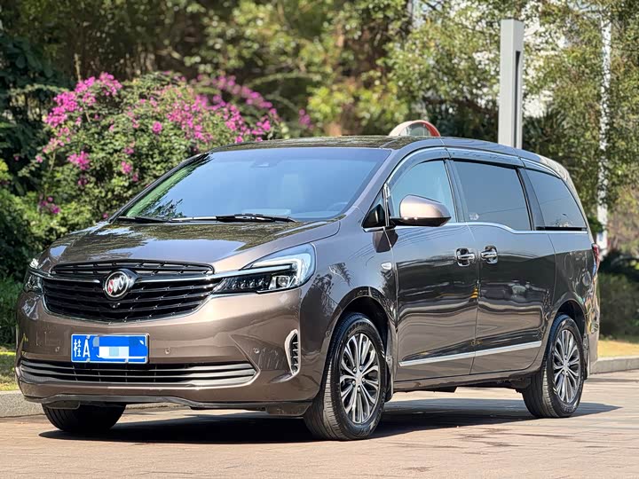 Фото 1 - Buick GL8 ES