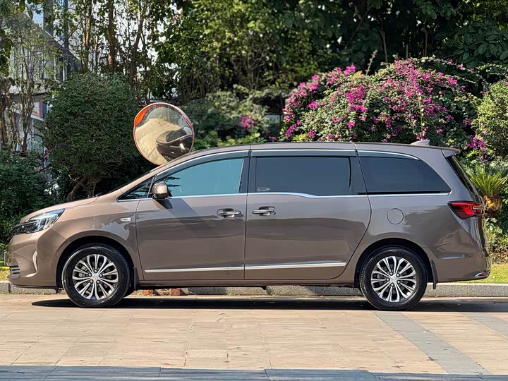 Фото 5 - Buick GL8 ES