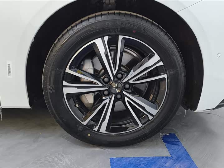 Фото 6 - Hongqi EH7