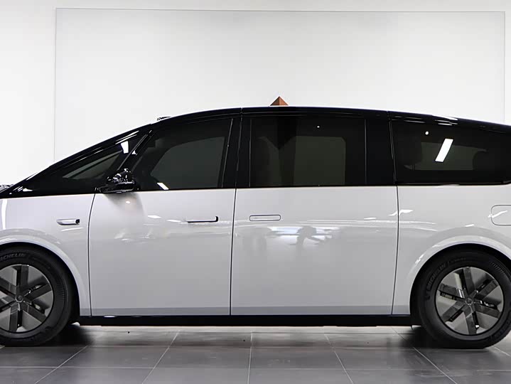 Фото 7 - LiXiang Mega