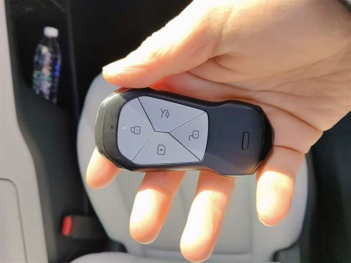 Фото 9 - XPeng G6