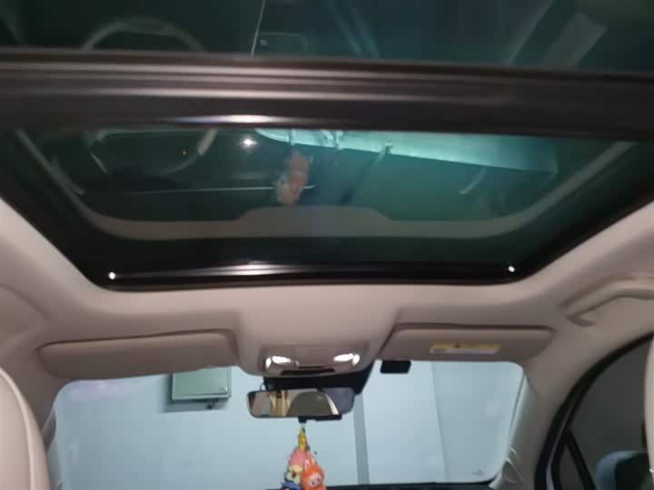 Фото 9 - Ora Good Cat (03)