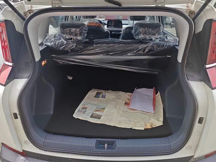 Фото 4 - Bestune NAT