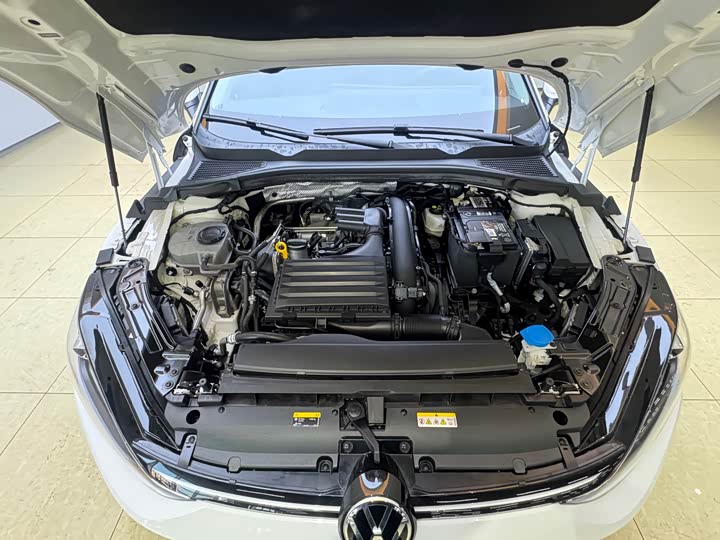 Фото 8 - Volkswagen Lamando L