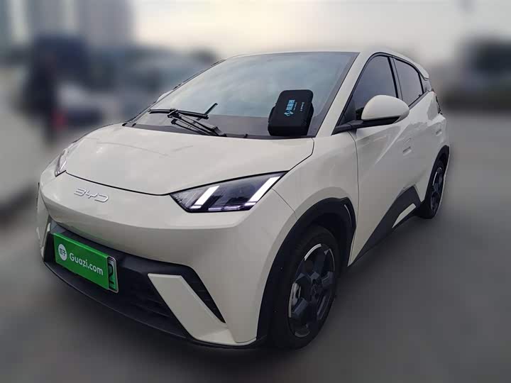 Фото 1 - BYD Seagull