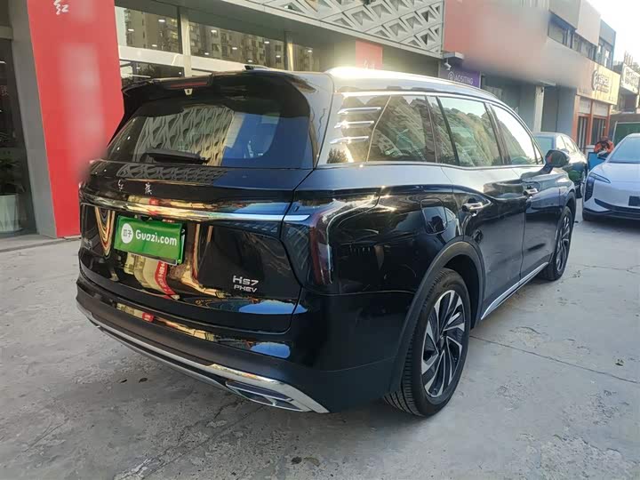 Фото 7 - Hongqi HS7 Hybrid