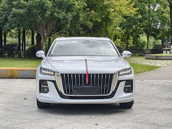 Фото 2 - Hongqi H5