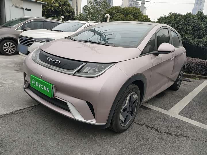 Фото 2 - BYD Dolphin