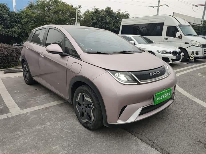 Фото 4 - BYD Dolphin