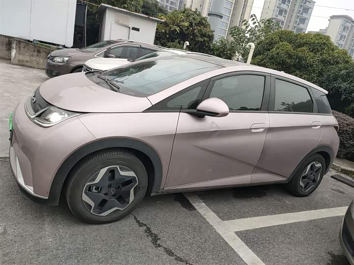 Фото 5 - BYD Dolphin