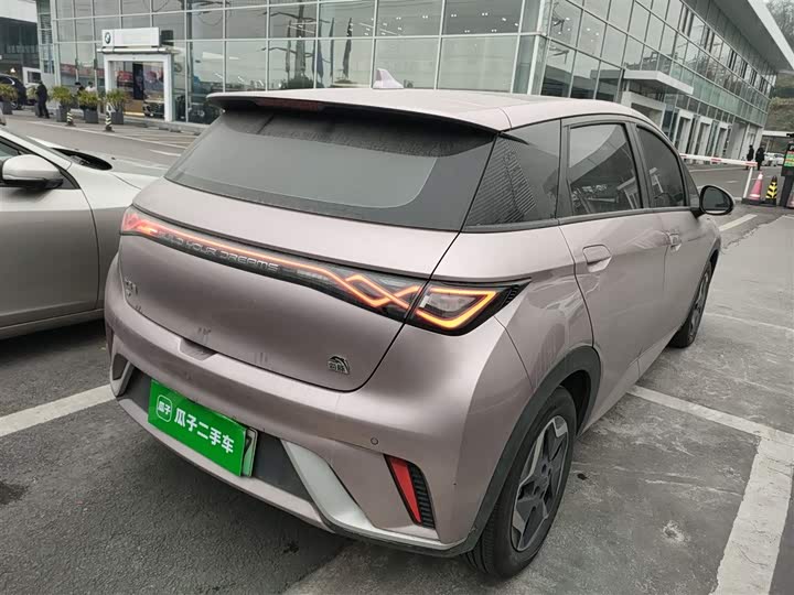 Фото 7 - BYD Dolphin