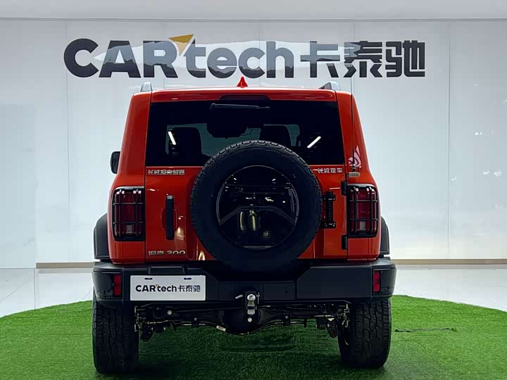 Фото 4 - Tank 300