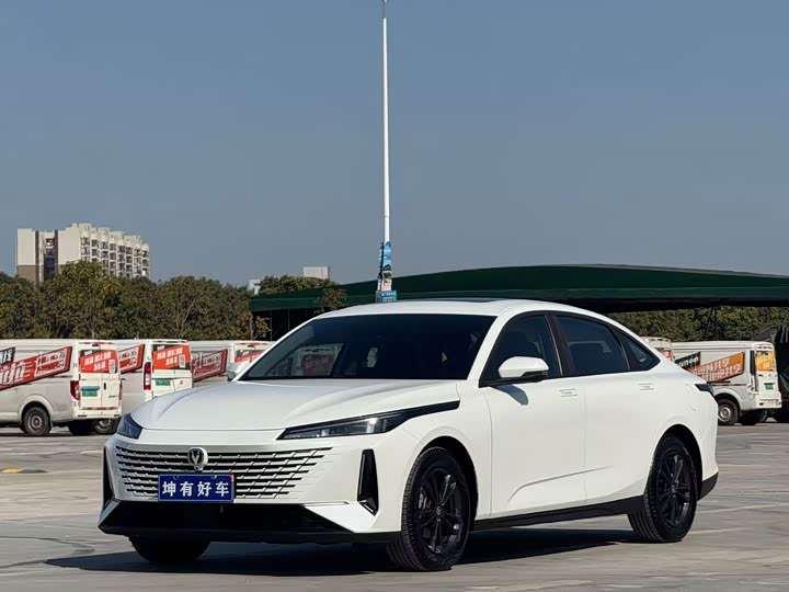 Фото 1 - Changan Yida