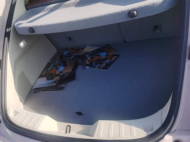 Фото 4 - Ora Ballet Cat