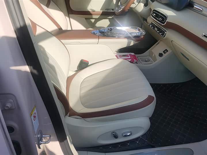 Фото 8 - Ora Ballet Cat